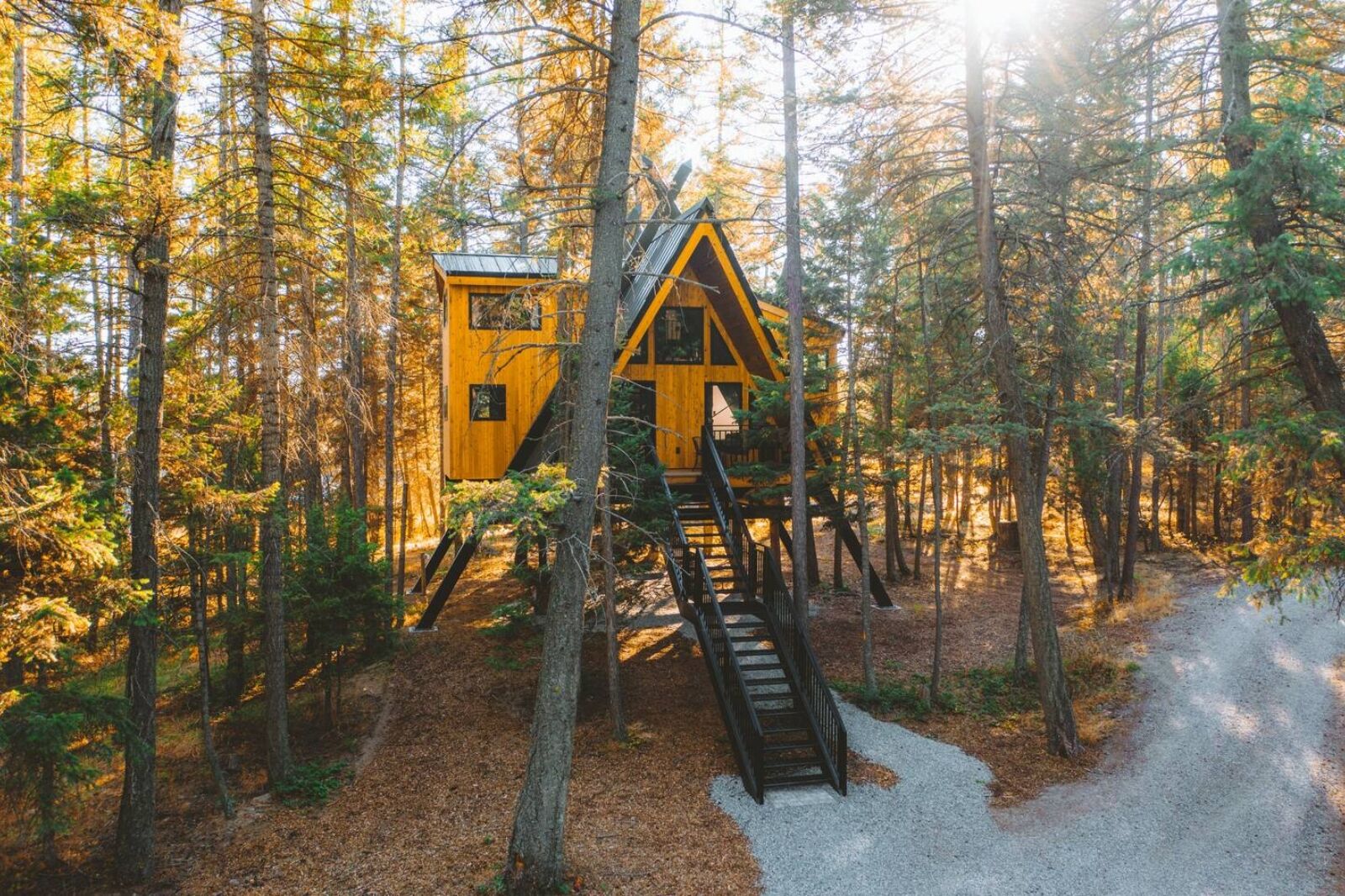 Raven's Nest Treehouse at MT Treehouse Retreat one of the best Airbnbs for Montana in the fall