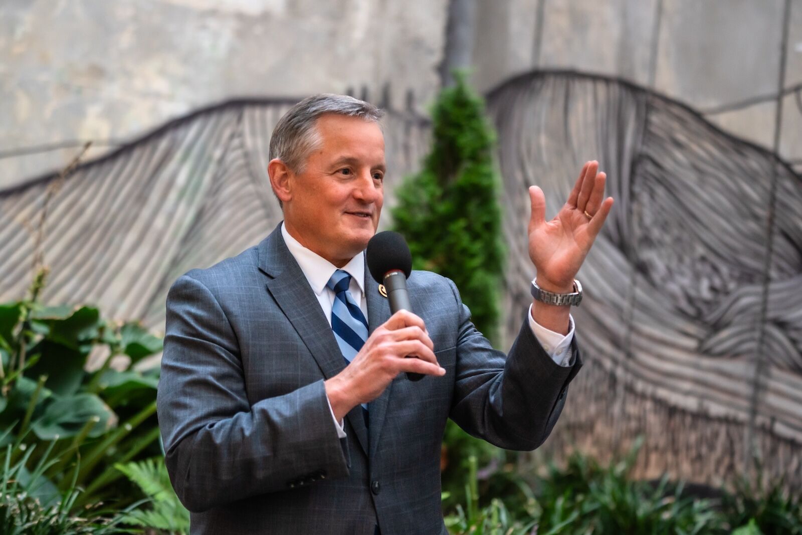 congressman bruce westerman of arkansas