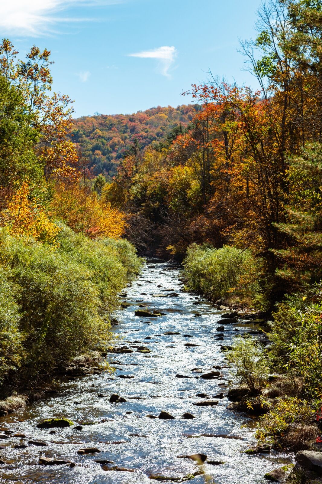 River at Urban Cowboy Catskills