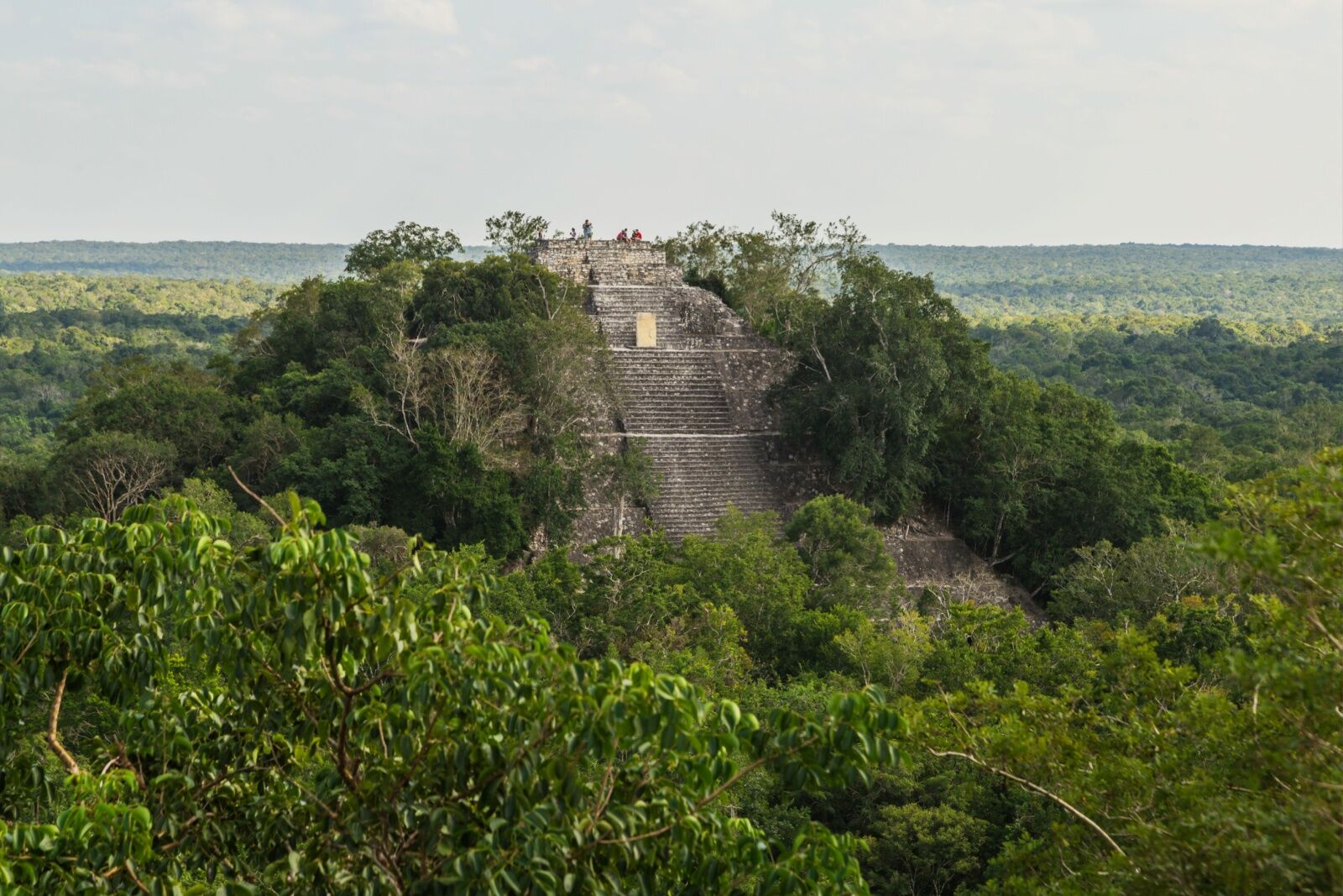 Calakmul site near Valeriana, mexico