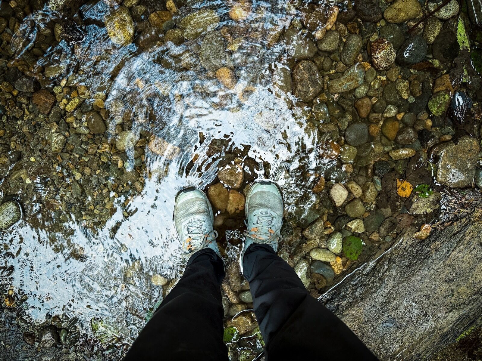 wet feet - fern canyon hike