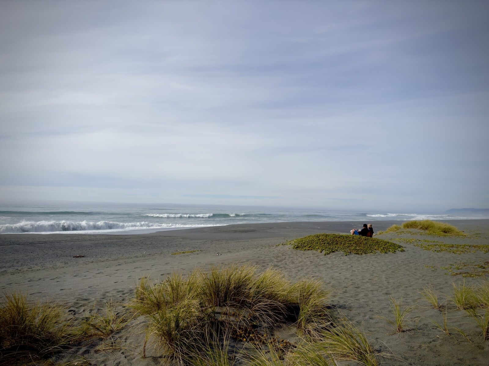 gold bluffs beach - fern canyon hike