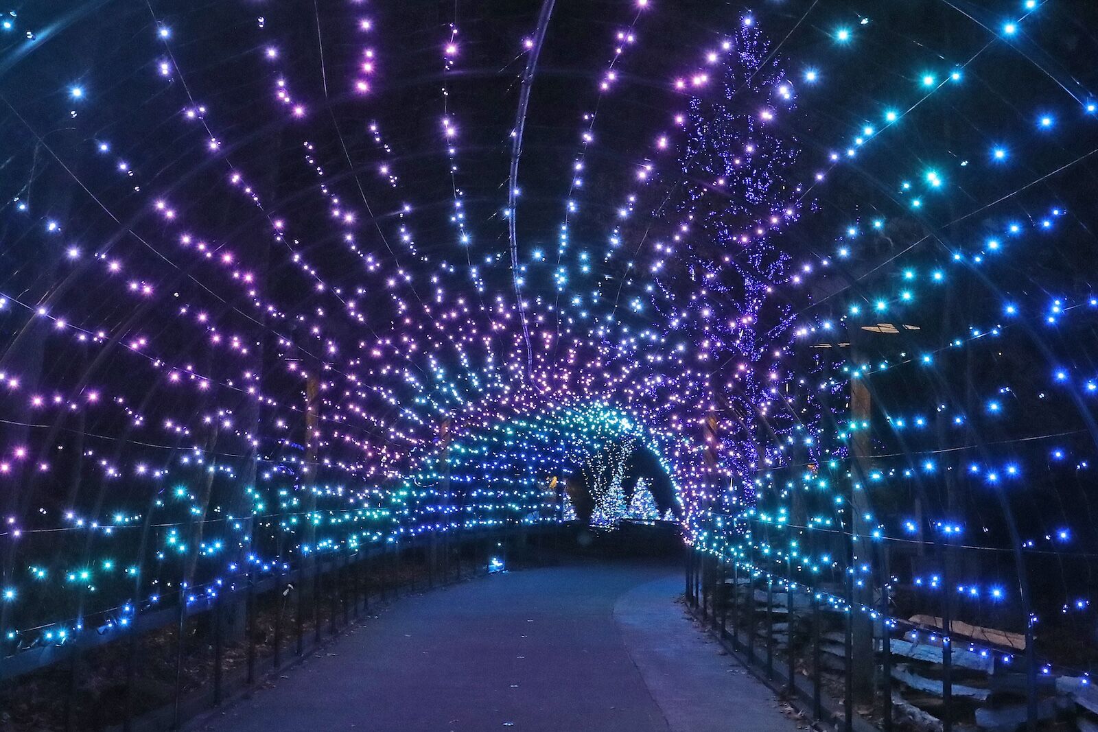 Lights at Dollywood at Christmas