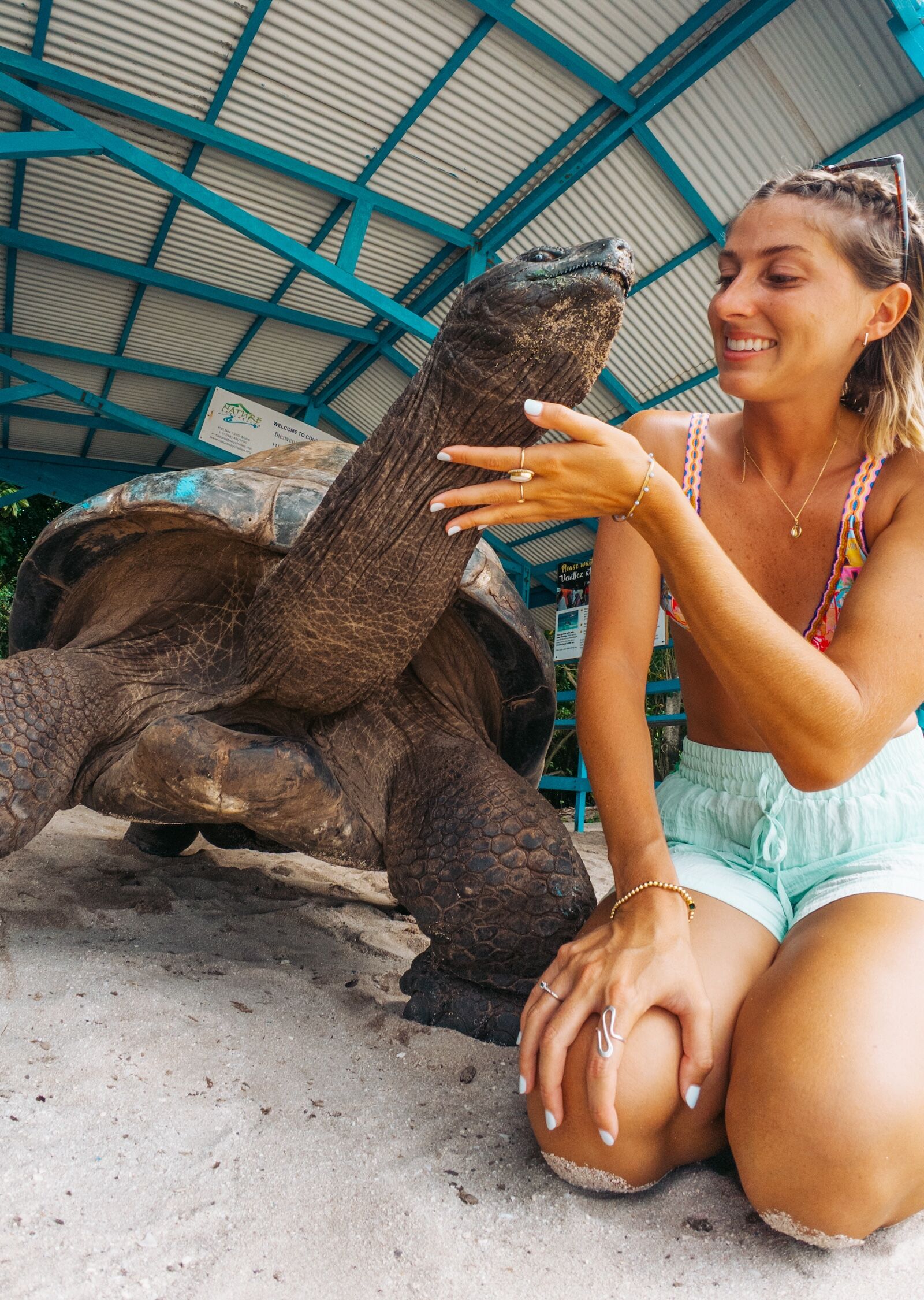 woman with turtle