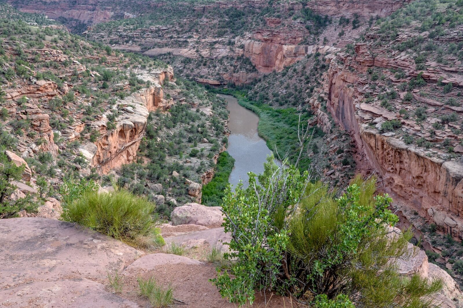 dolores river canyon