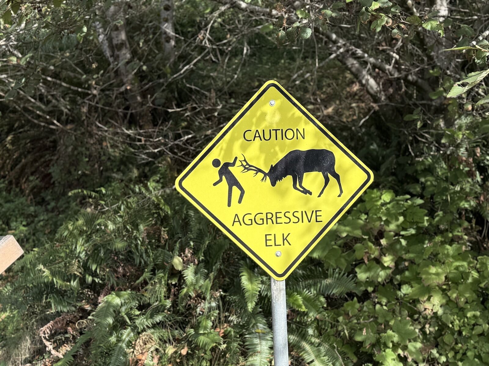 Elk warning sign on the fern canyon trail 