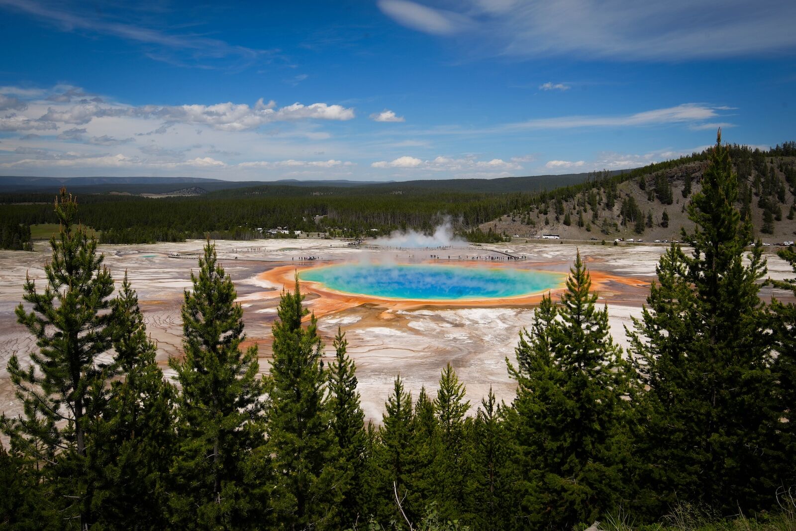 wolf tourism in yellowstone - grand prismatoc spring