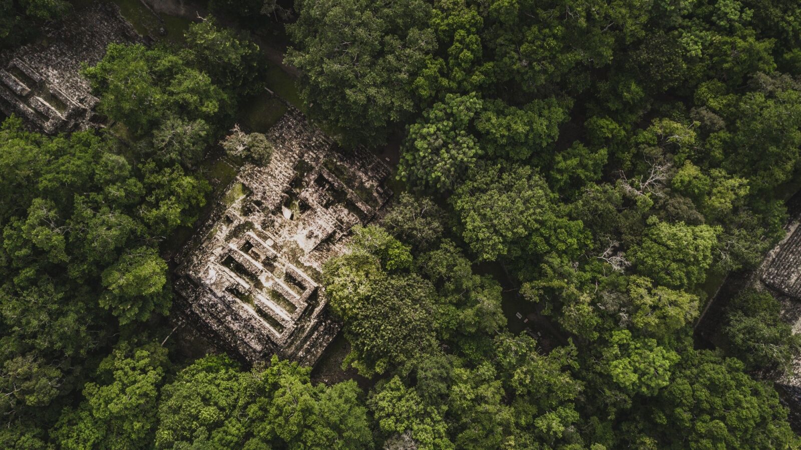 calakmul near Valeriana