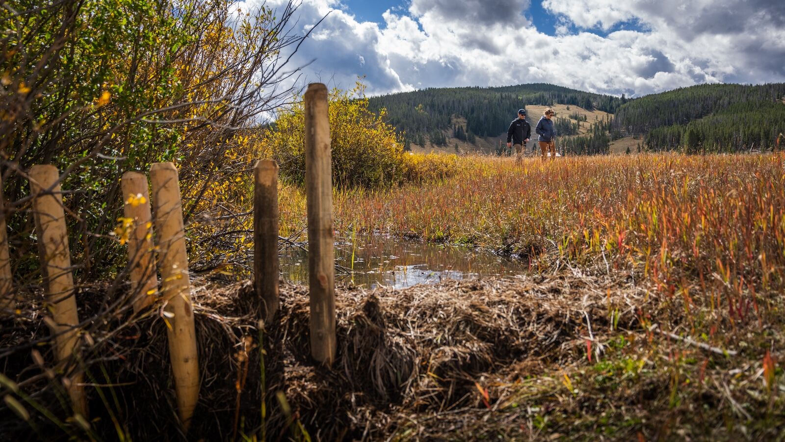 soda creek restoration project