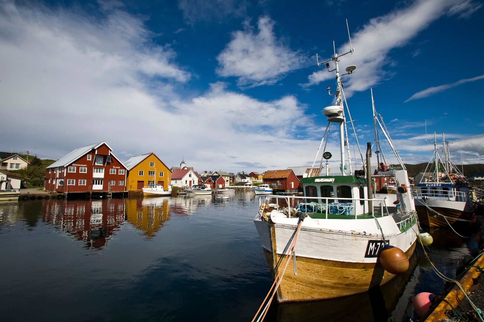 Bud in Northwest Norway