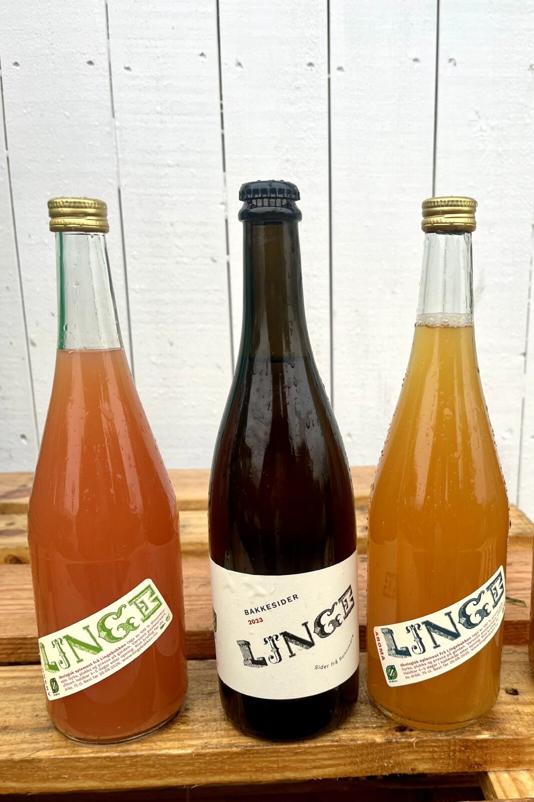 Lingebakken  cider in northwest norway