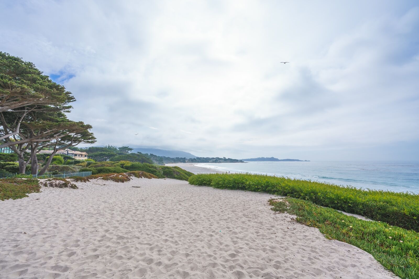 things-to-do-in-carmel-by-the-sea