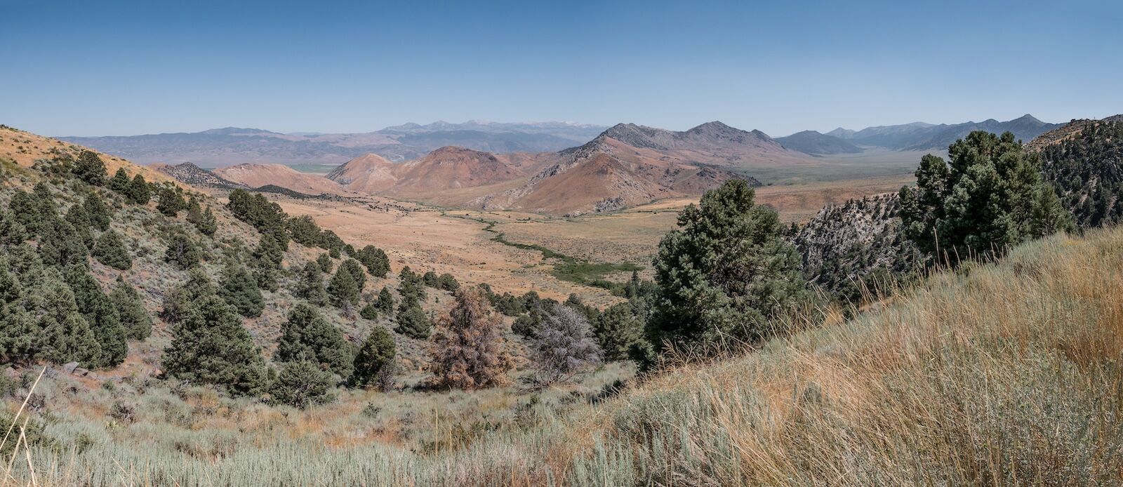 view from leviathan peak