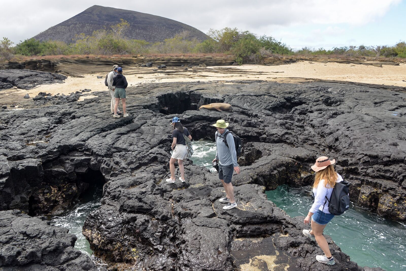 Walking on the rocks on Santiago Island, observing sea lions and fur seals.