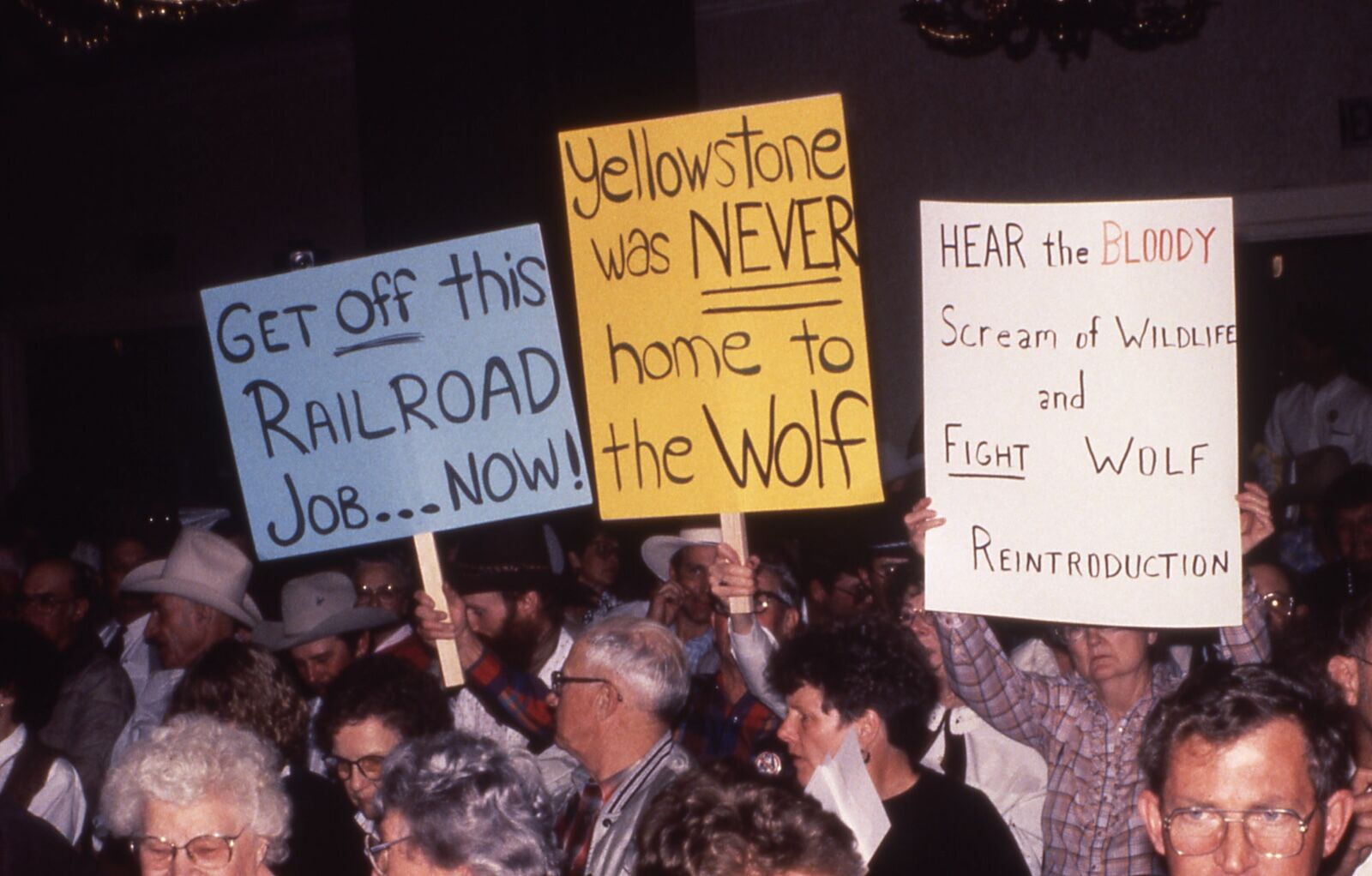 anti wolf protesters in 1996