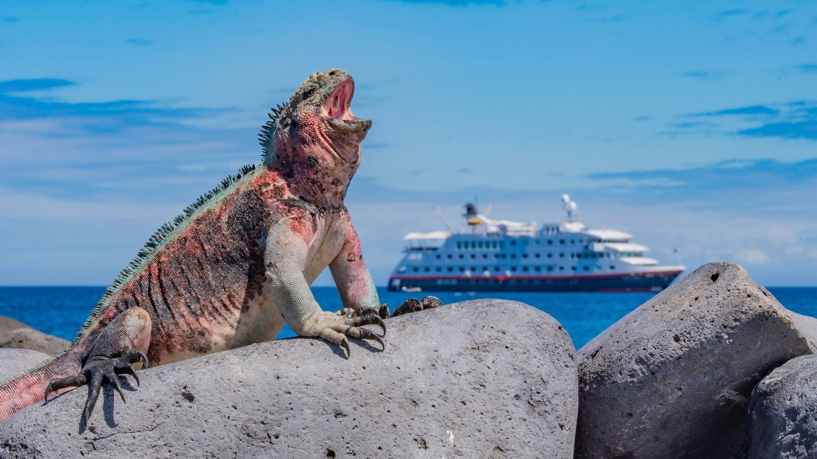 Hurtigruten Expeditions (HX) offers cruises around the Galapagos Islands