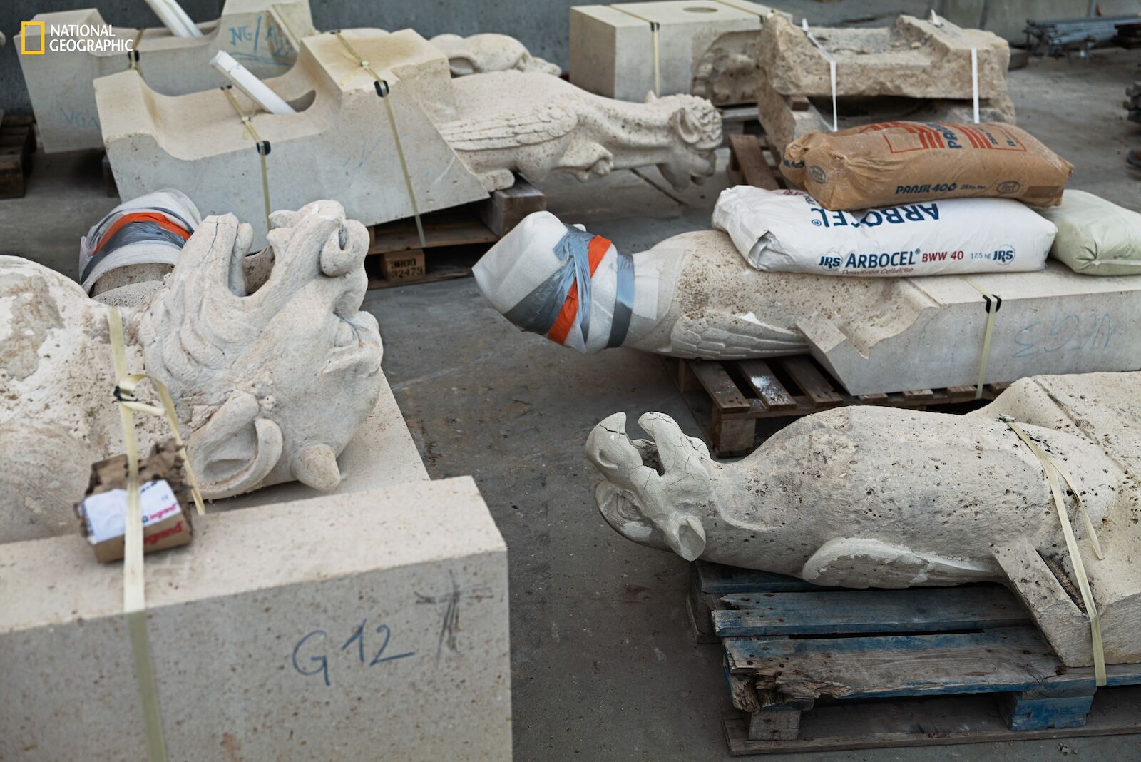 notre dame repairs - gargoyles under construction