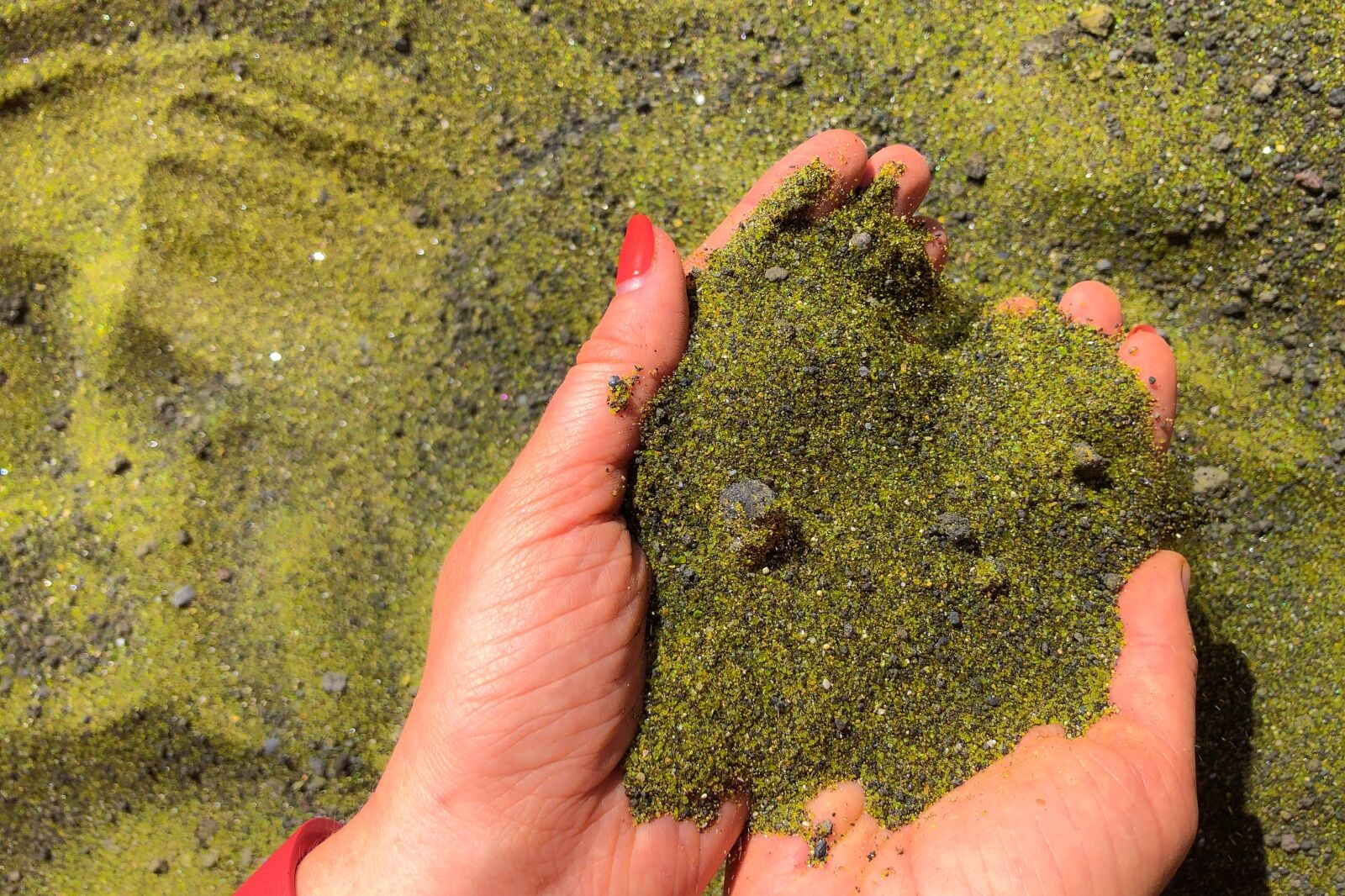 Green Sand in hands, Papakolea Green Sand Beach on Island of Hawaii near Mahana Bay
