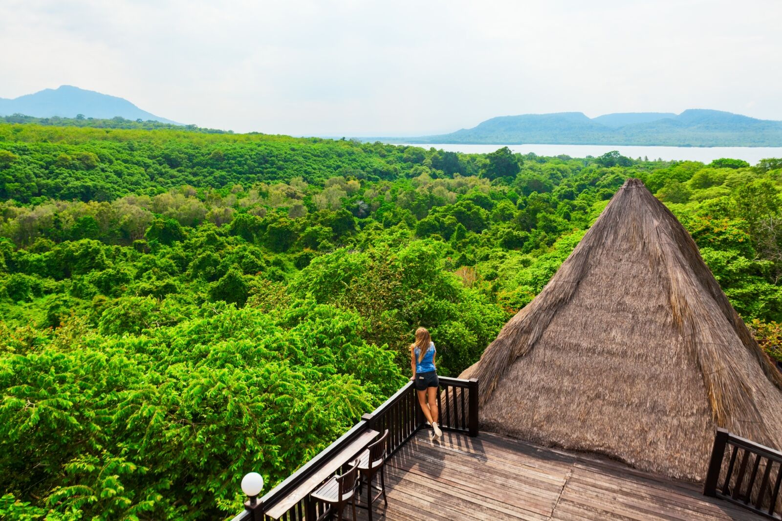 Menjangan rainforest