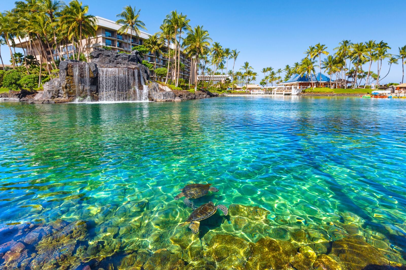 Swimming pool at Hilton Waikoloa Village