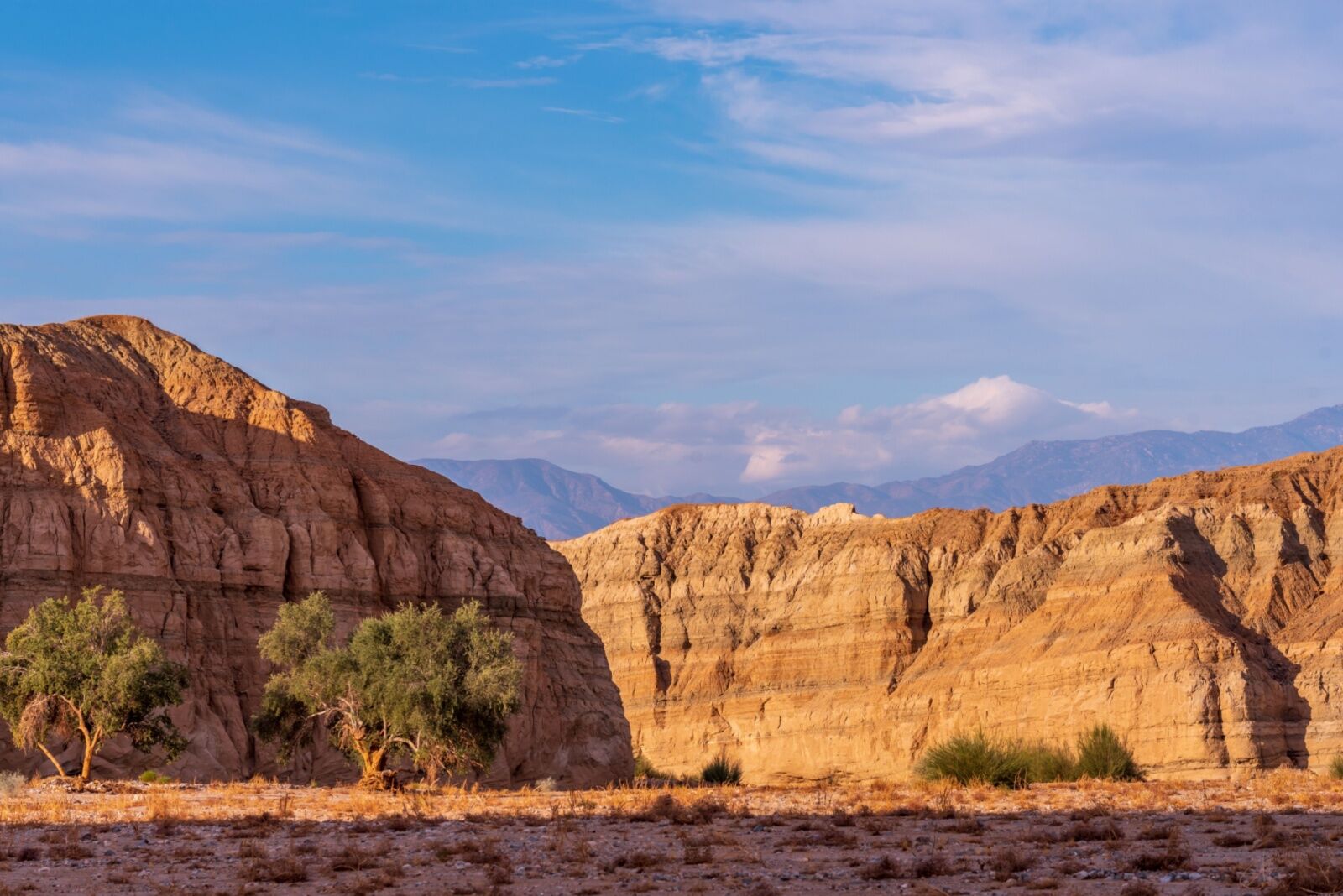 new proposed california national monuments -- chuckwalla