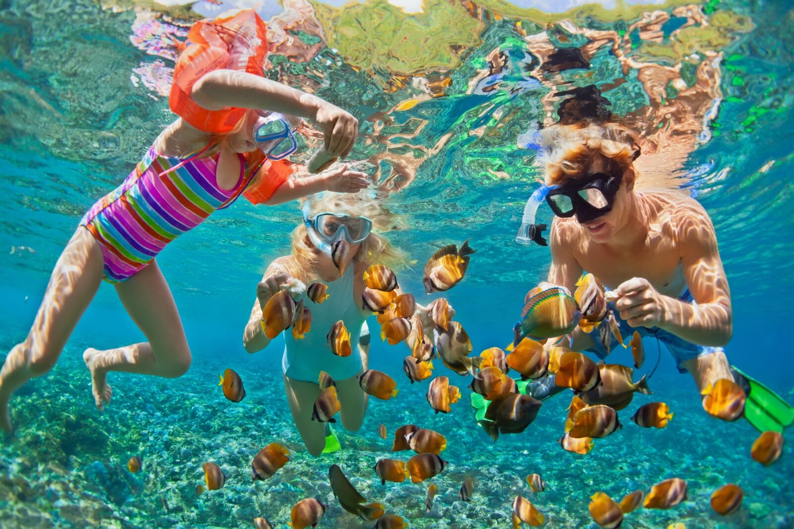 Happy family - father, mother, child in snorkeling mask dive underwater with tropical fishes in coral reef sea pool. 