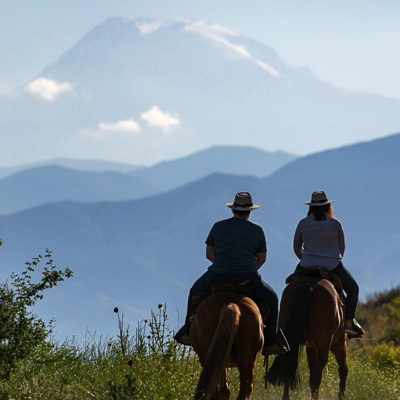 horseback riding in the andes