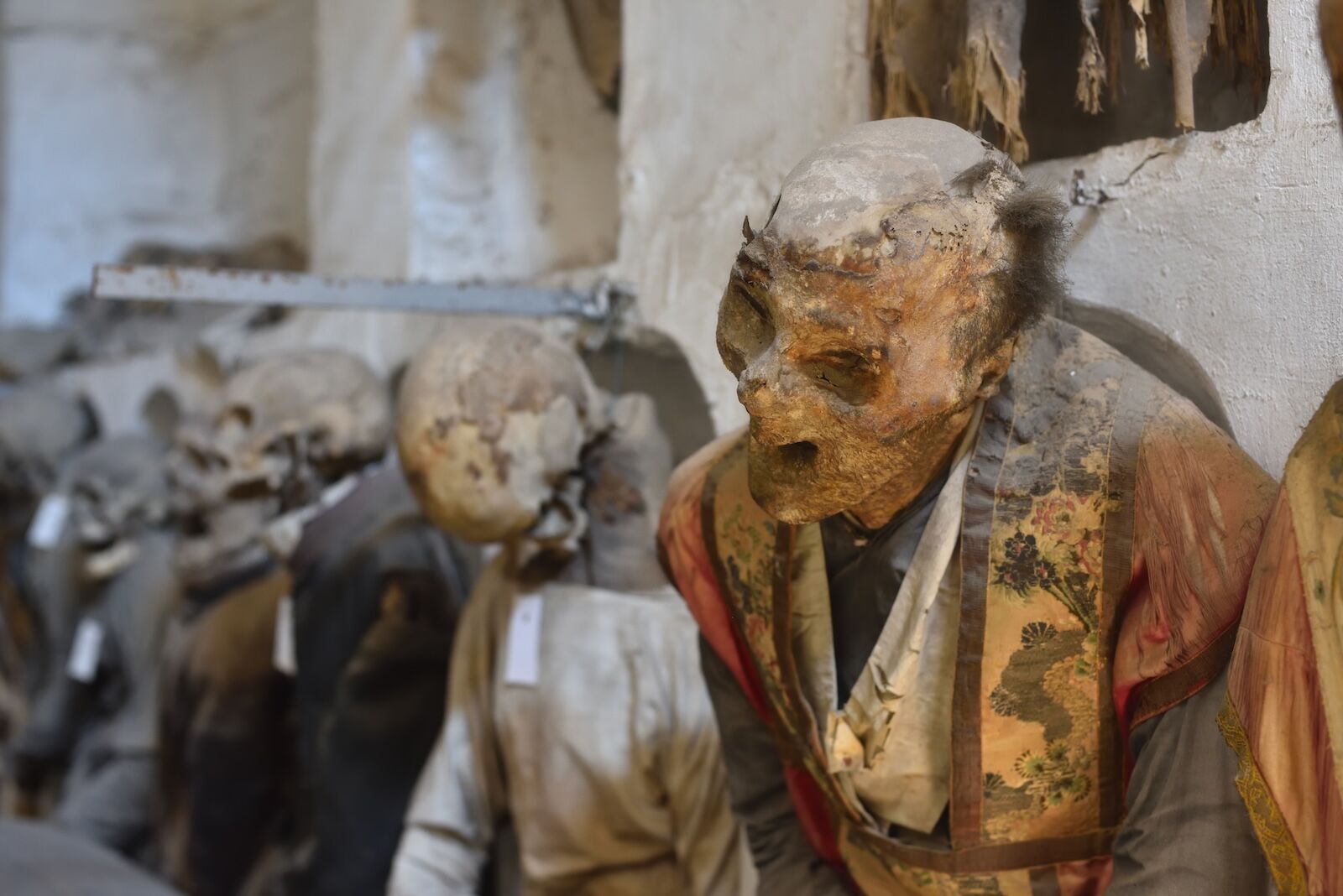 Palermo walking tour: the Capuchin Catacombs of Palermo