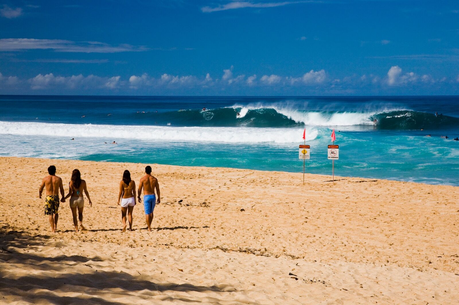 things-to-do-on-the-north-shore-of-hawaii