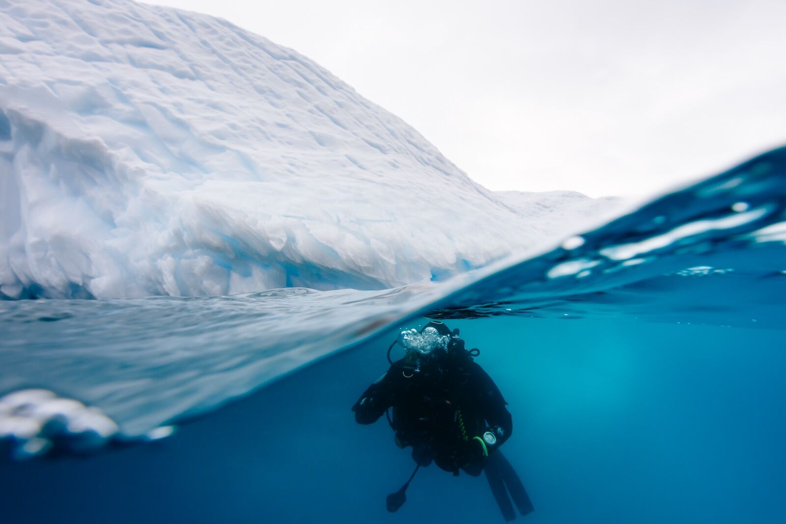 Scuba diving in Antarctica with Oceanwide Expeditions