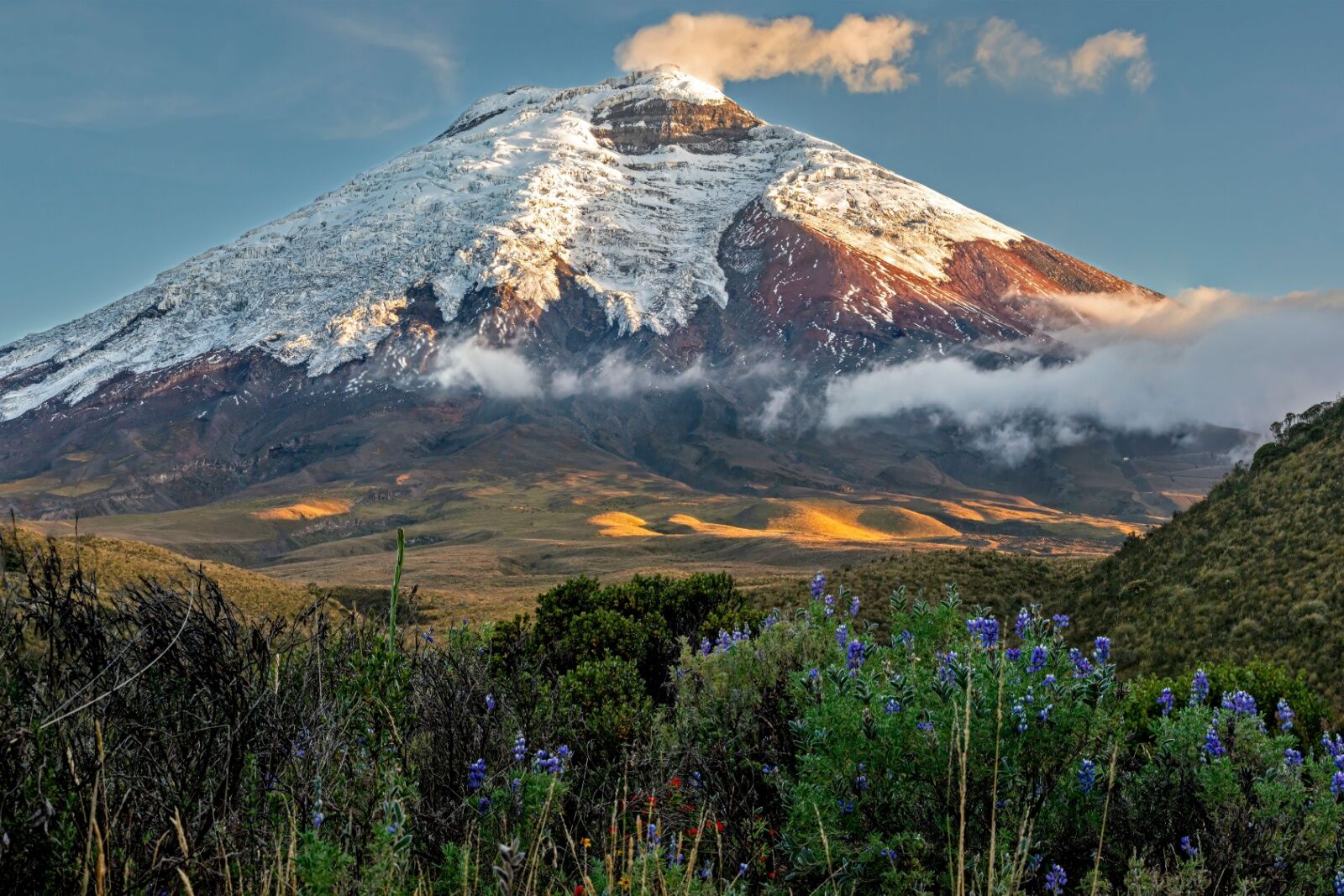 coolest volcanoes in the world - cotopaxi