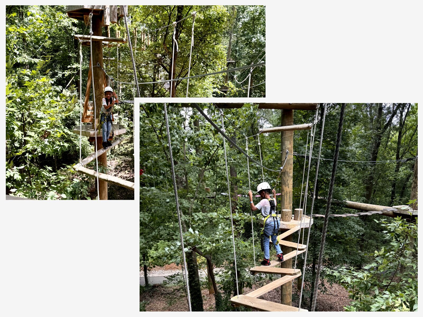 flying rabbit ropes courses and ziplines near greenville south carolina