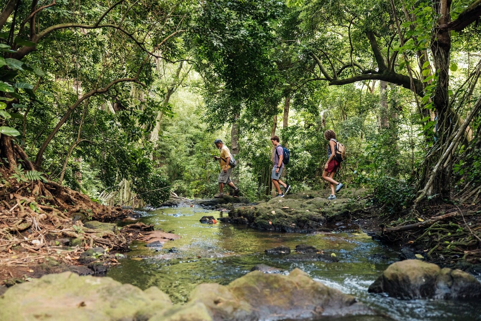 Sam Ohu Gon of The Nature Conservancy guides visitors on a hiking trail