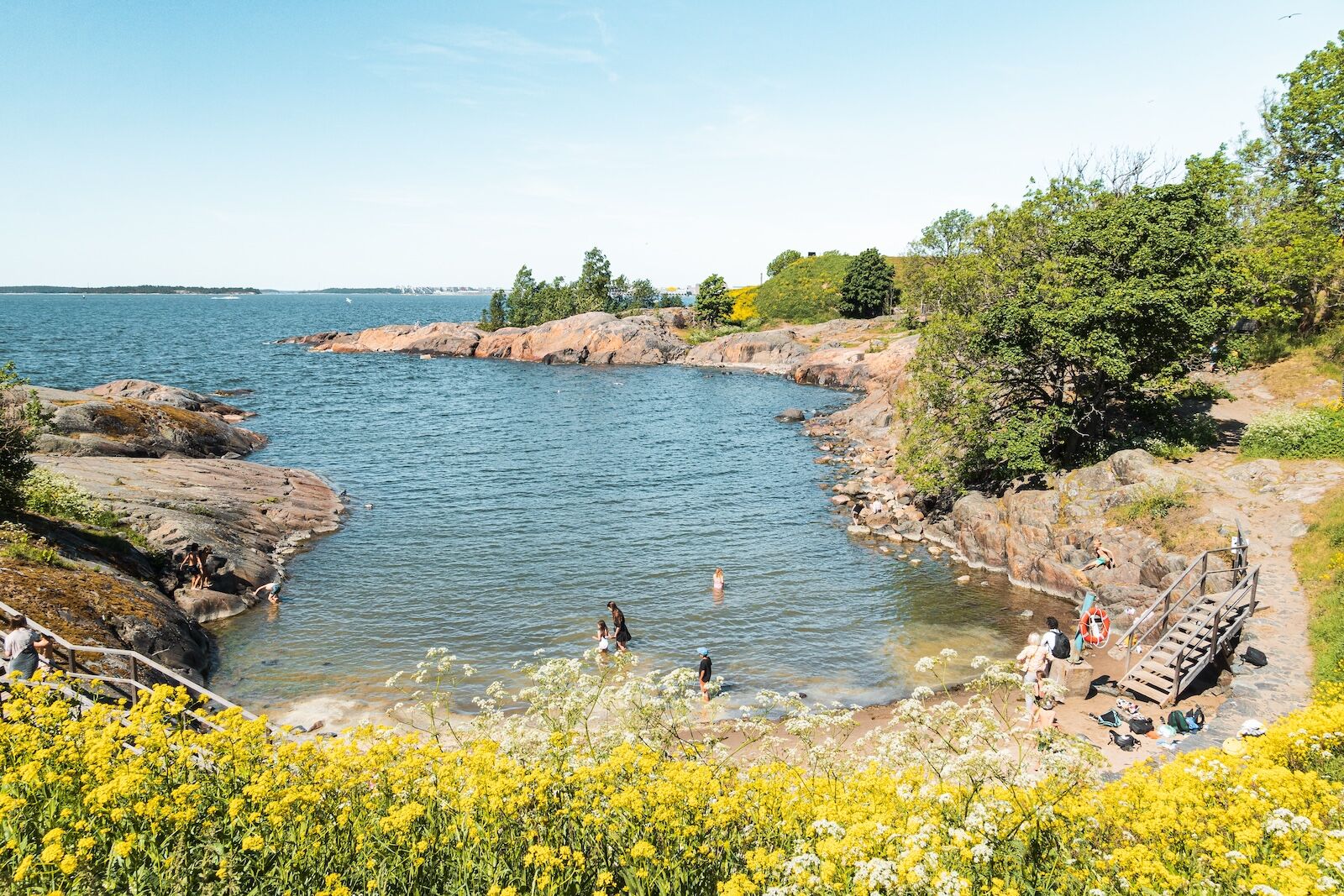 Suomenlinna beach in Helsinki, Finland. Blooming rapeseed in the foreground. People swim in the bay