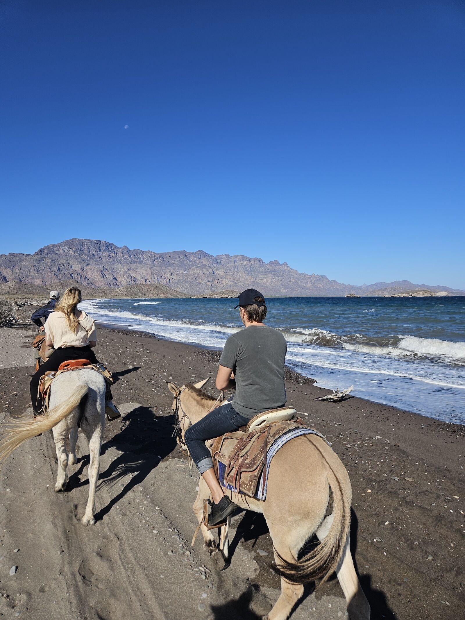 things-to-do-in-loreto-mexico