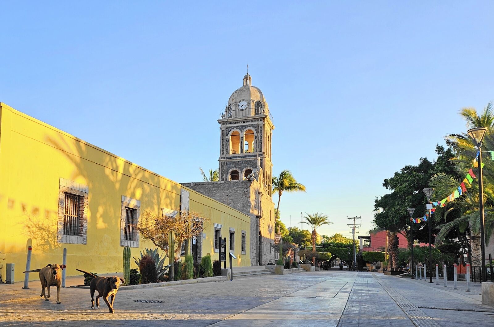 things-to-do-in-loreto-mexico