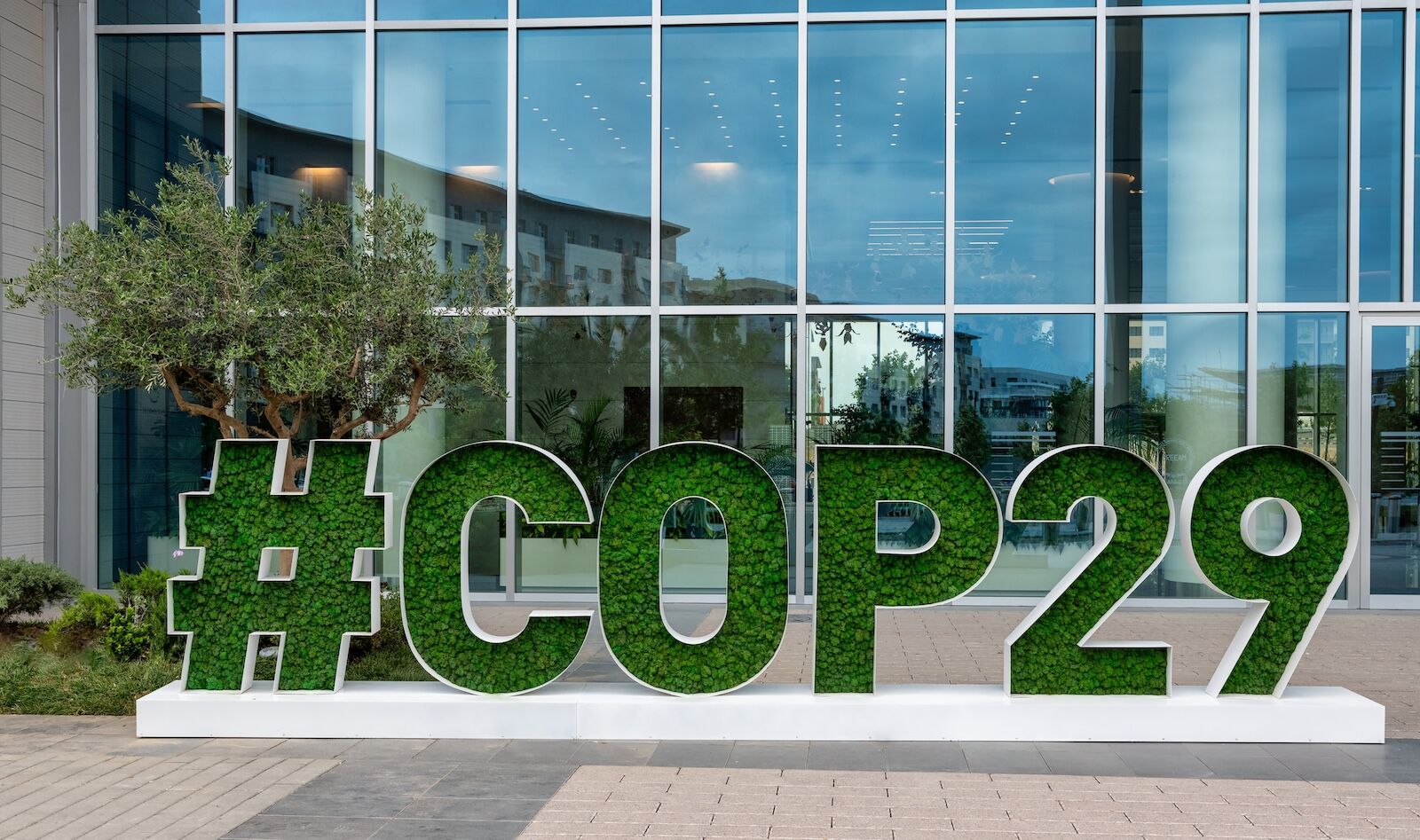 cop 29 sign made of plants