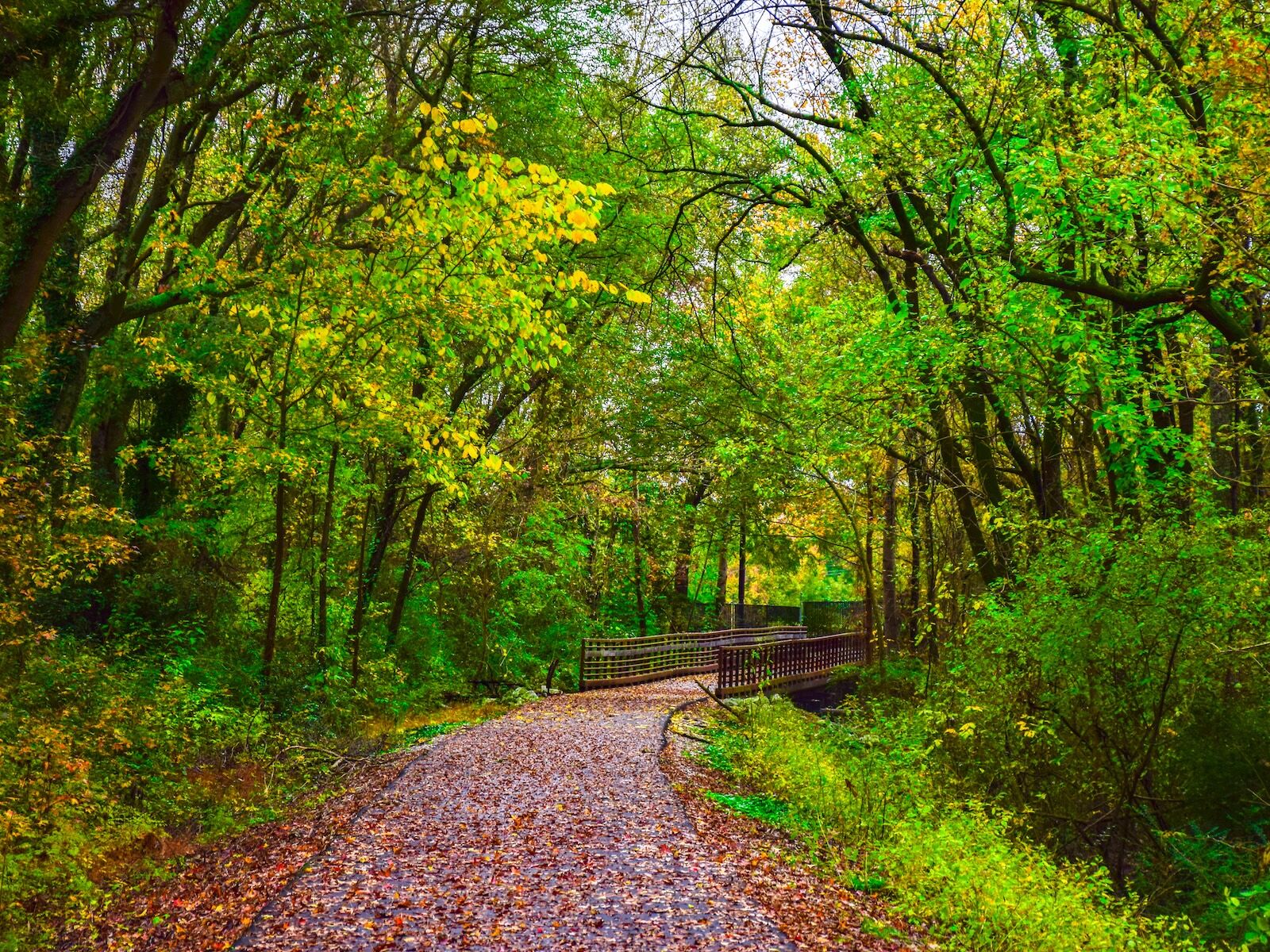 Swamp Rabbit Trail in Downtown Greenville South Carolina SC