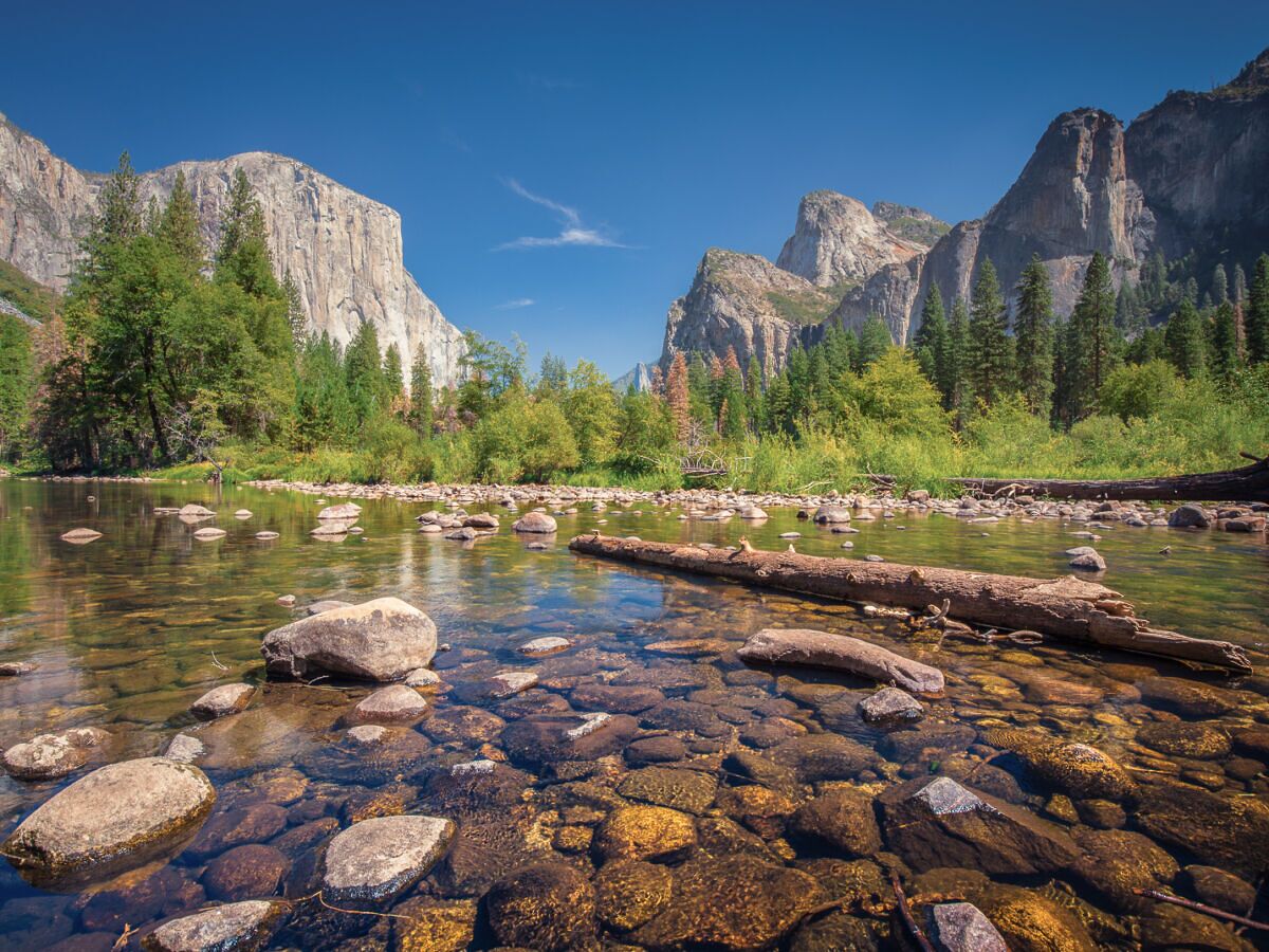 Don’t Miss These 5 Experiences on Your Spring Trip to Yosemite