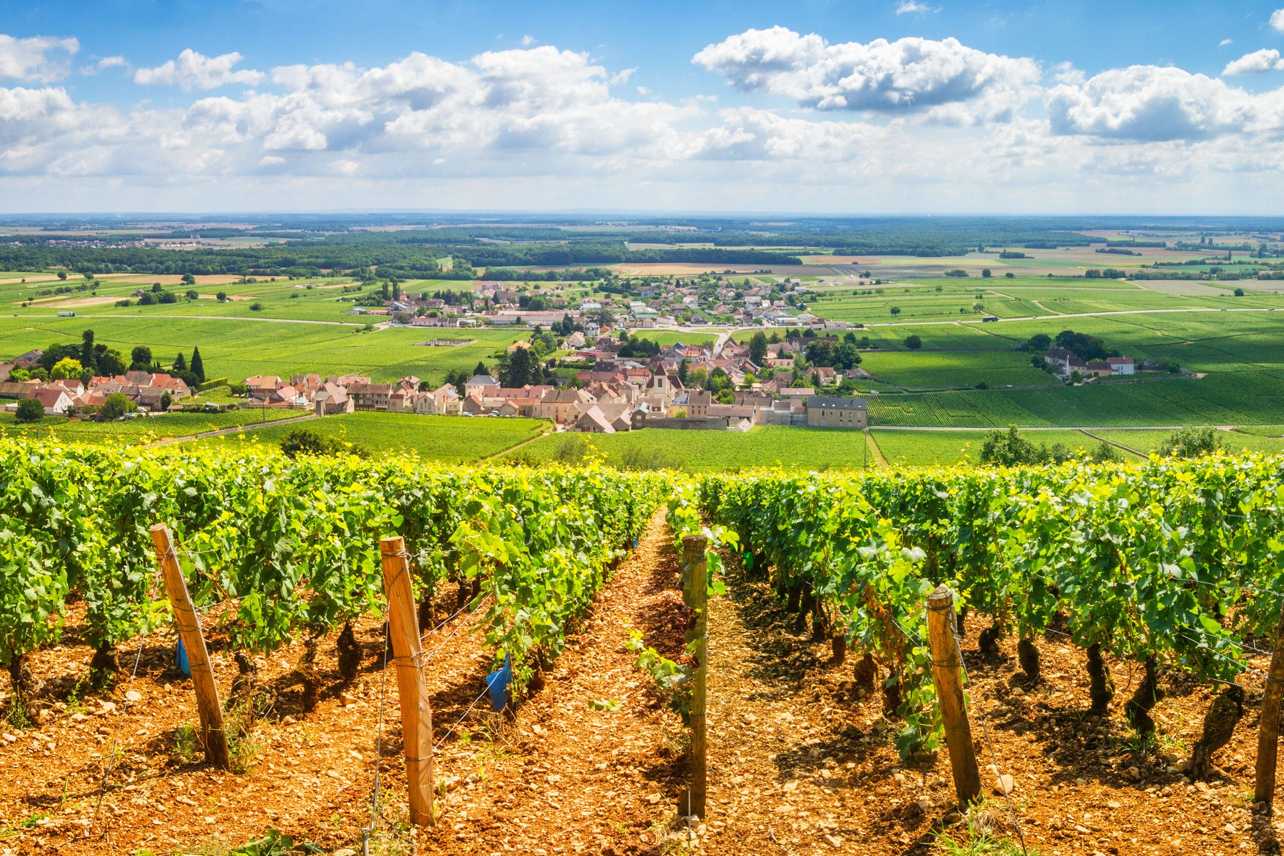 Small Towns in France You'll Want to Visit if You're a Wine Lover