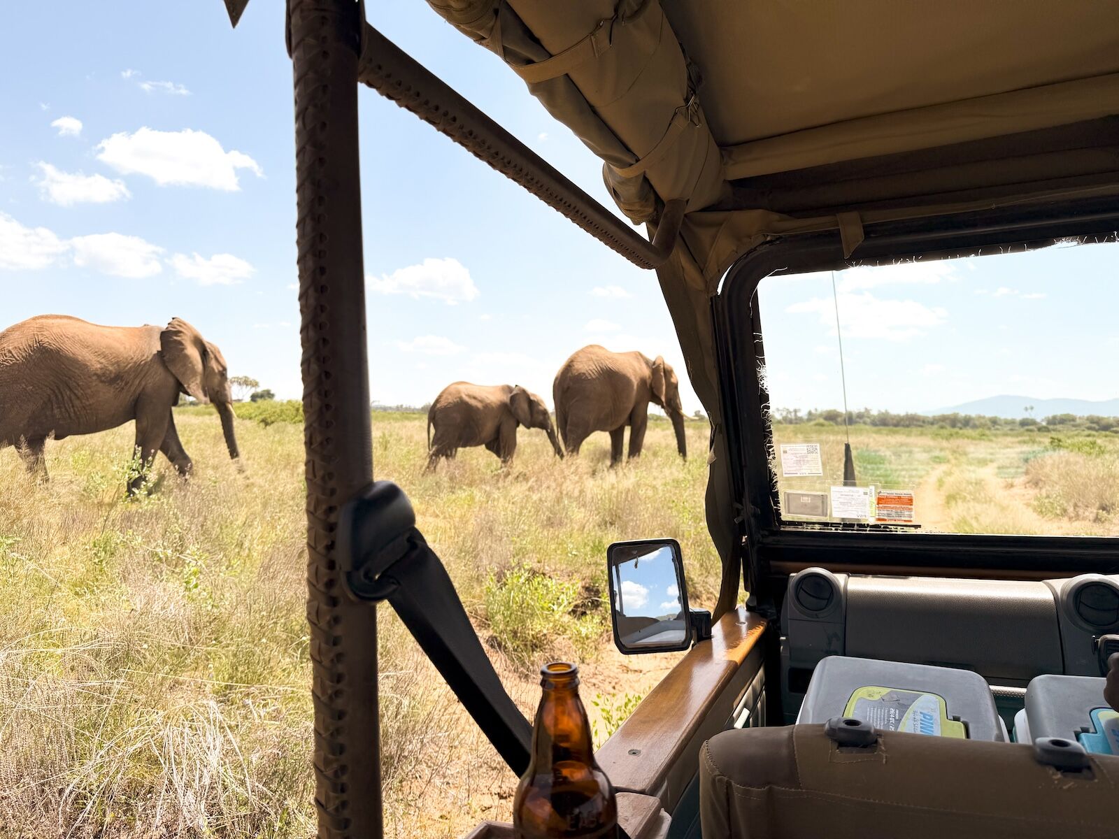 elephants from safari car in samburu national reserve