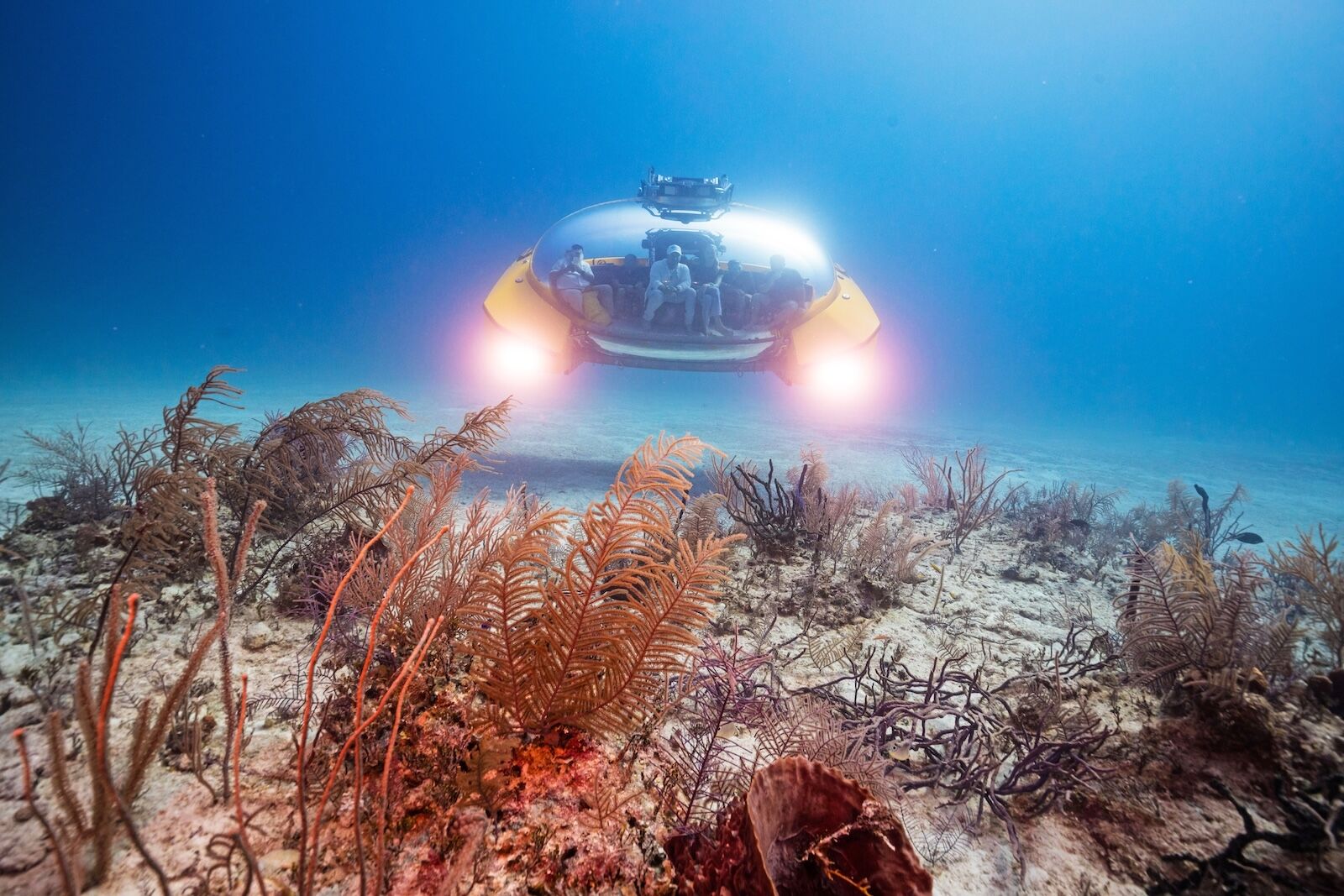 Submarine Neptune II is owned by Scenic and installed on board Scenic Eclipse II.