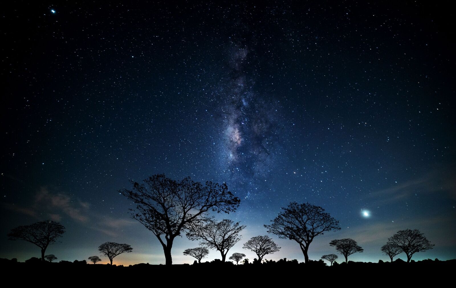 2025 astronomy events - south africa stargazing