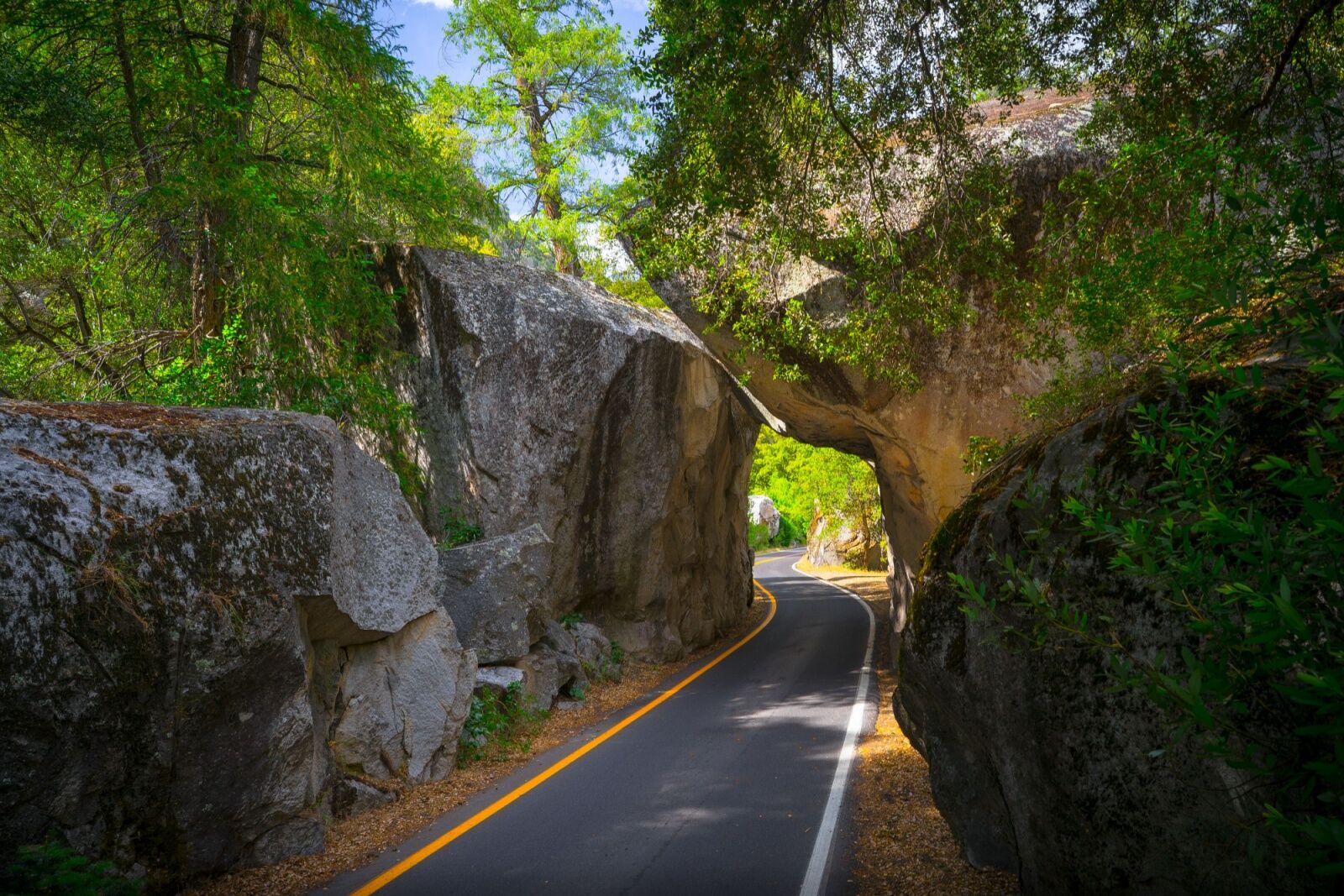 half dome permit - el portal entrance