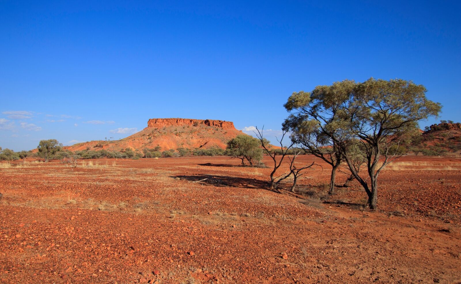 Archeological digs 2025: Queensland, Australia