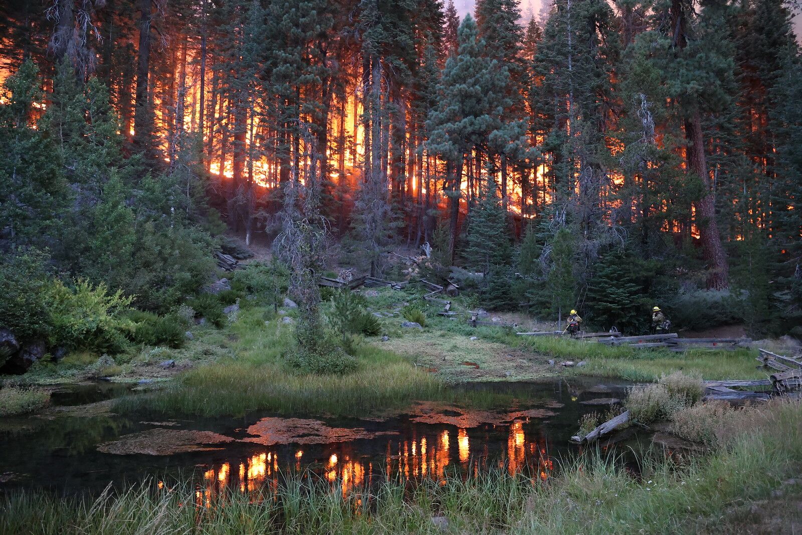 california wildfire size comparison - dixie fire in nature