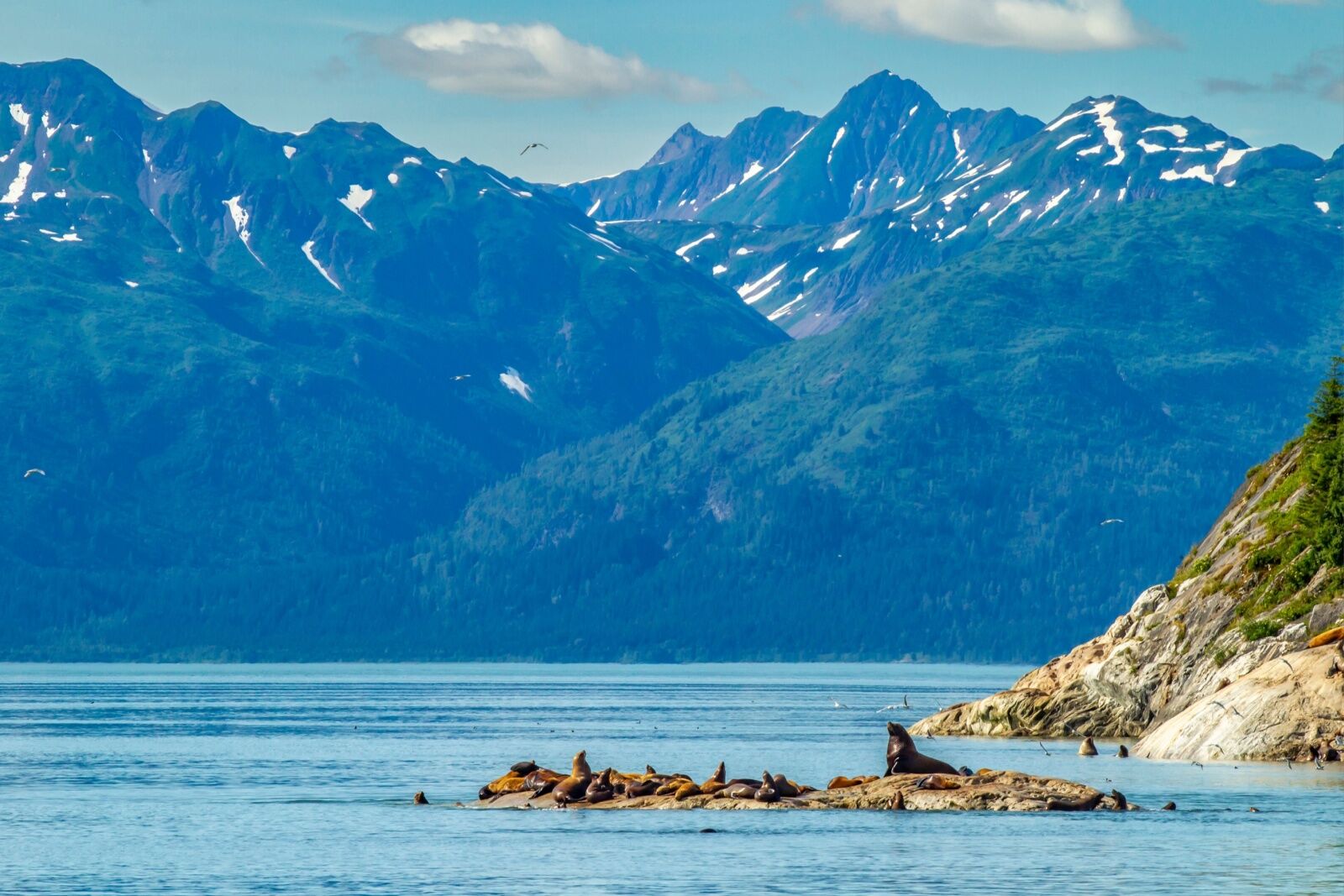 denali name change - glacier bay