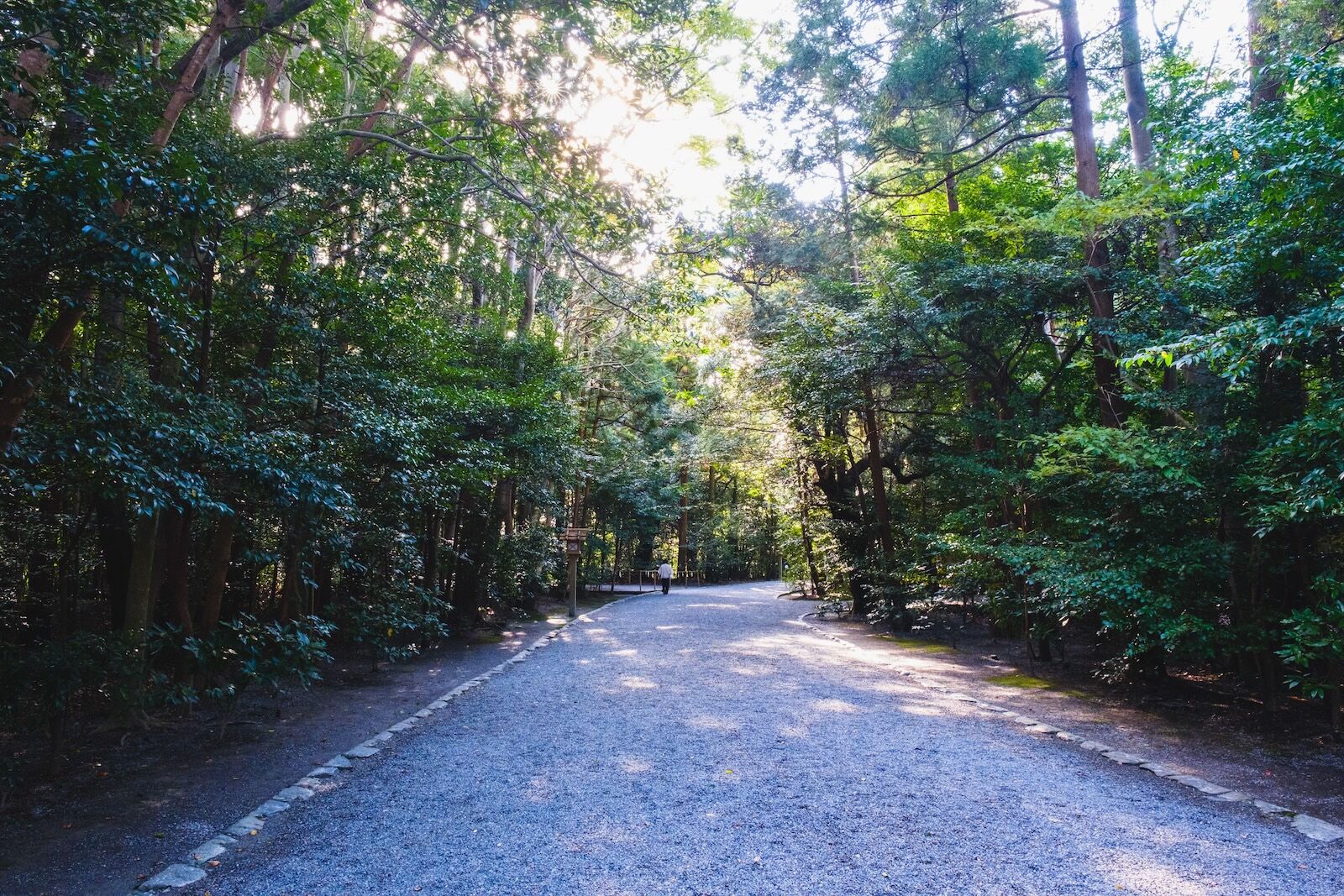 Kii Penninsula - sacred forest at ise jingu