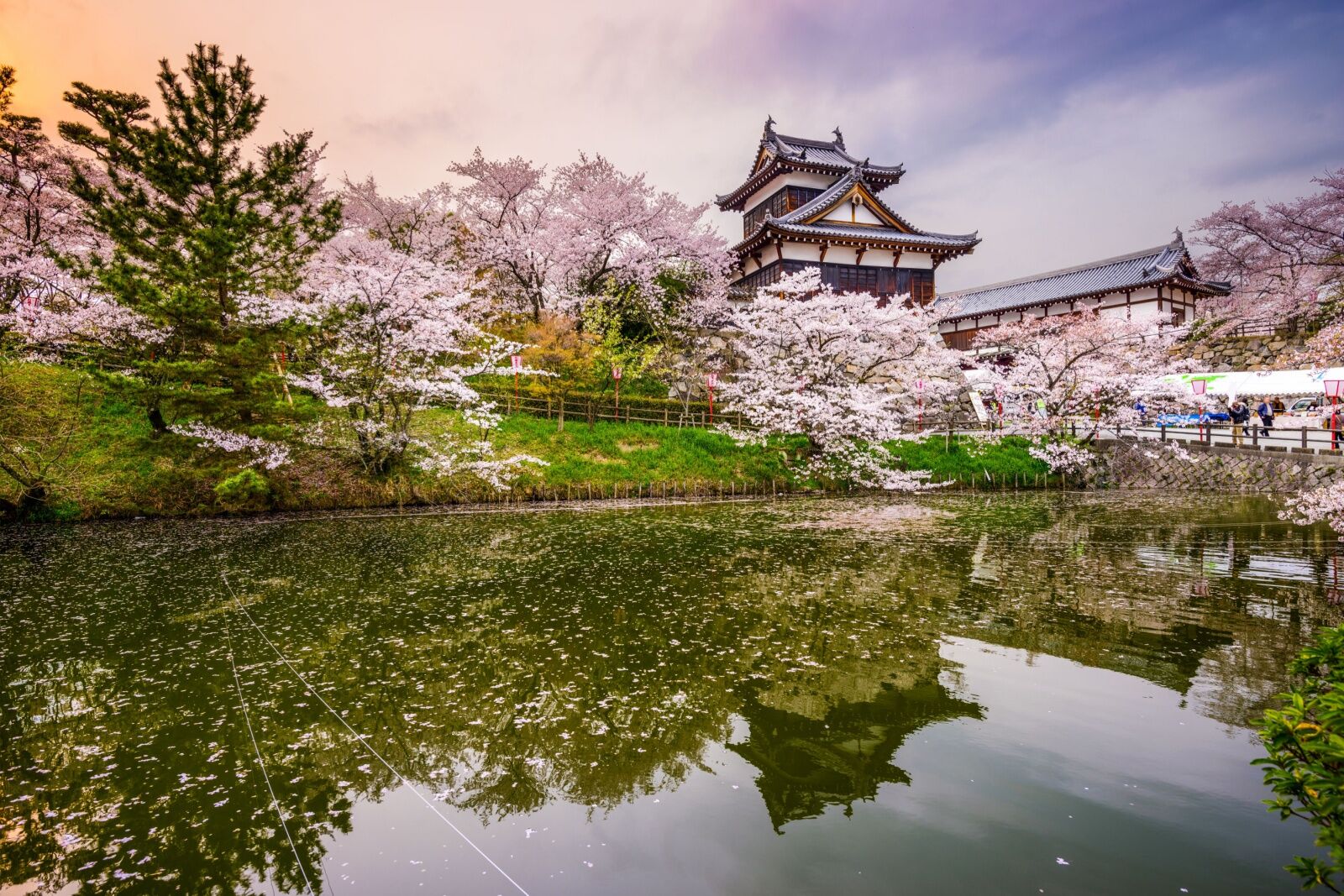 Nara, Japan in spring 