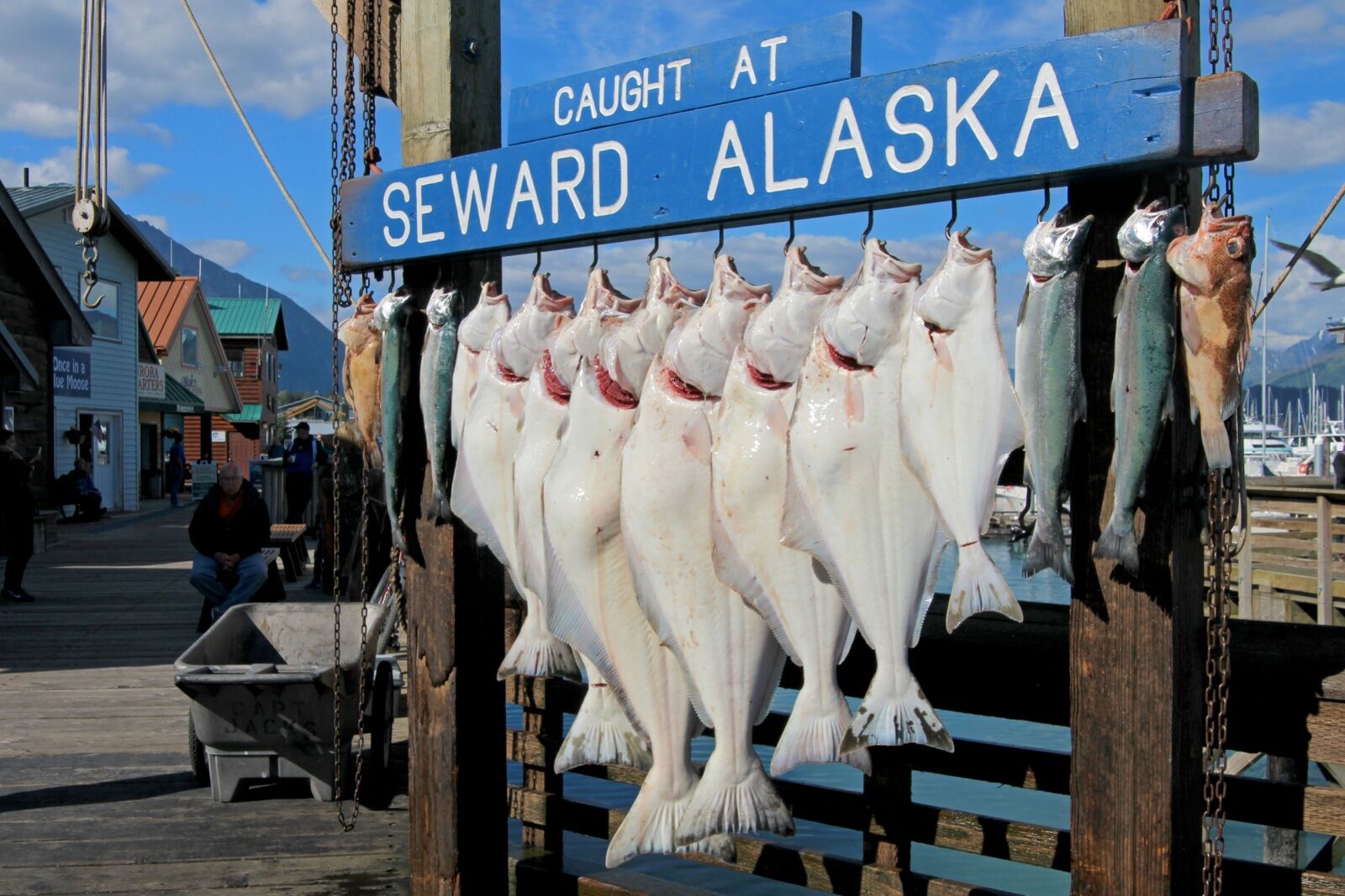 denali name change - fish on hook